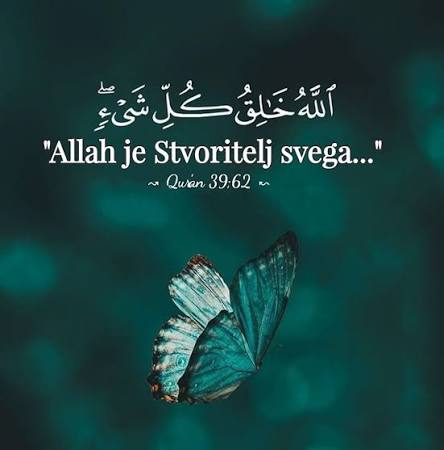 HUTBA O ČOVJEKOVOJ OVISNOSTI O ALLAHU UZVIŠENOM