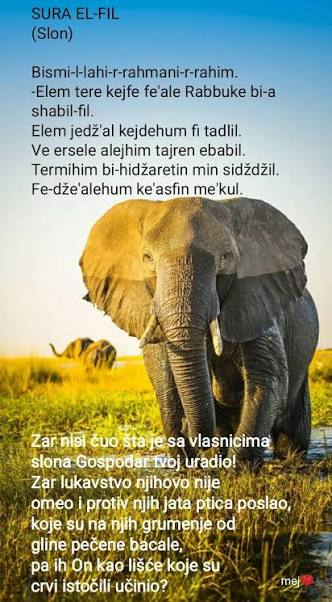 Promišljanje o suri el-Fil
